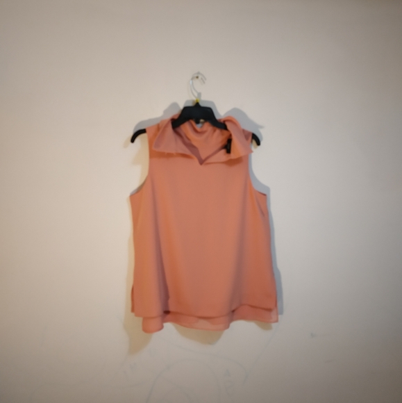 Alfani - Picture 6 of 7